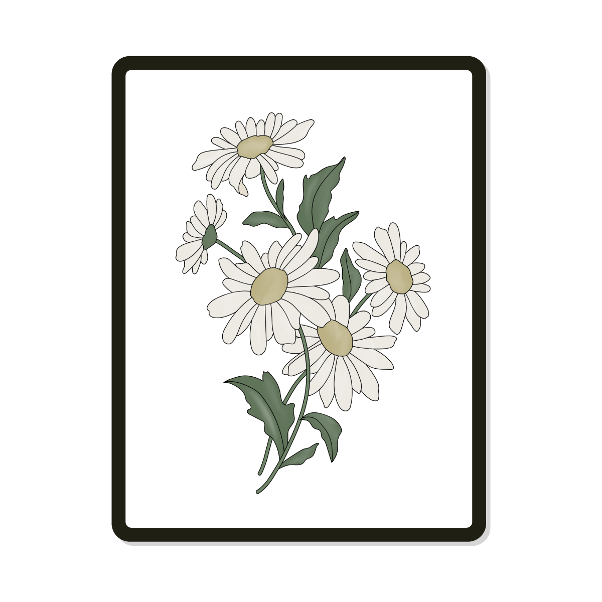 Beverly | Daisy