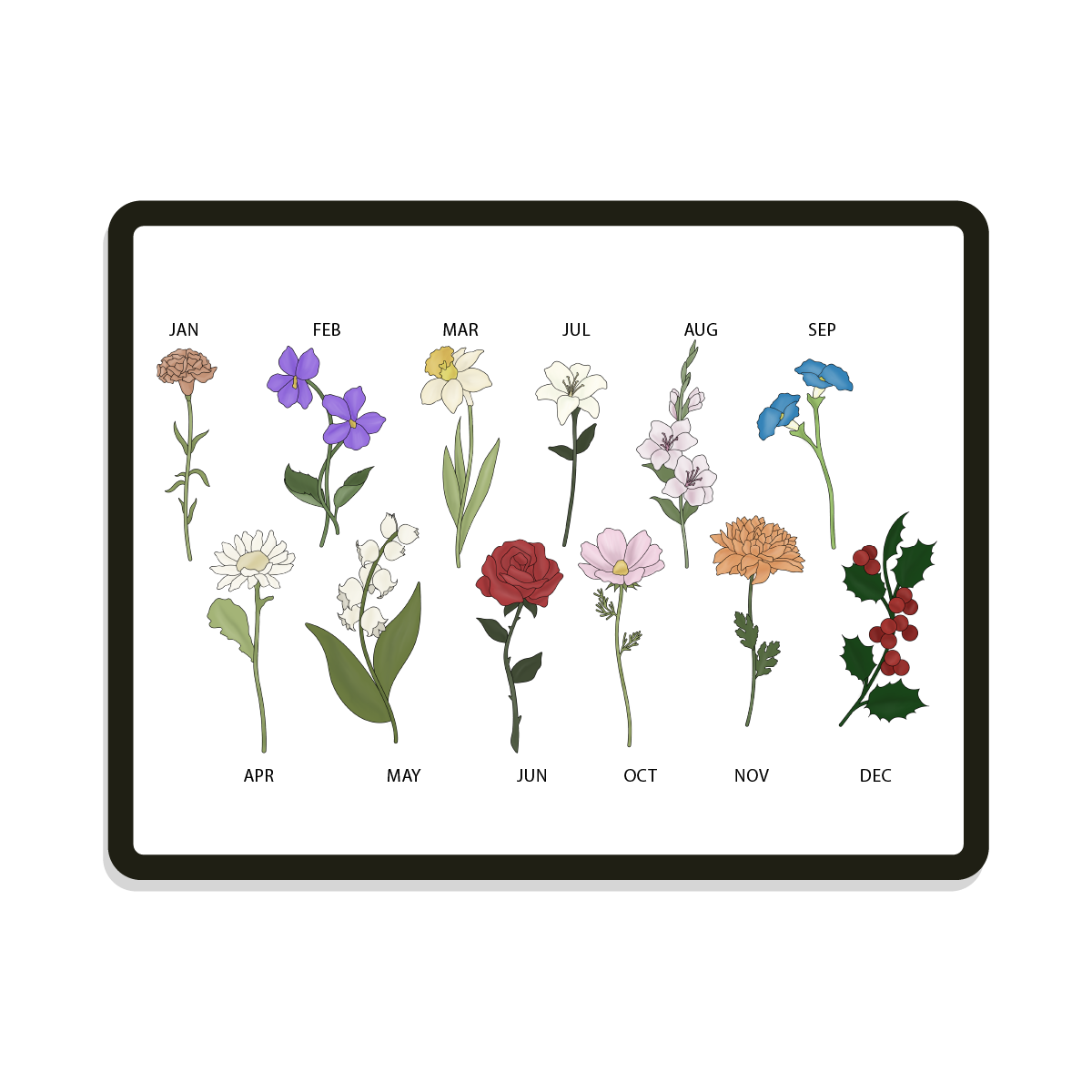 Birth Flowers | Stem Flowers