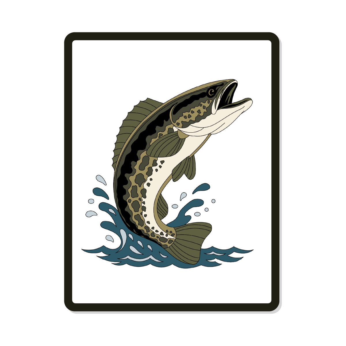 Brook | Round| Trout Fish
