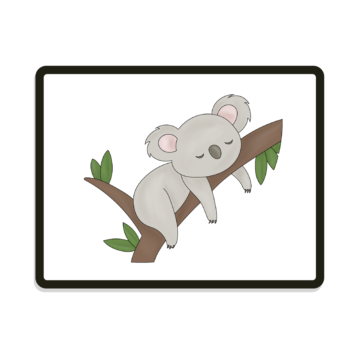 Buster Round | Koala