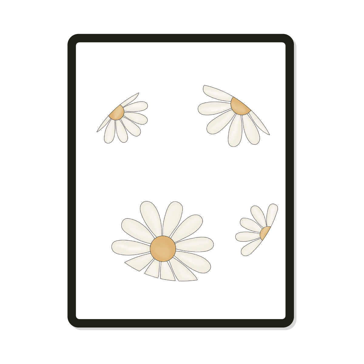 Daisy Round | Floral