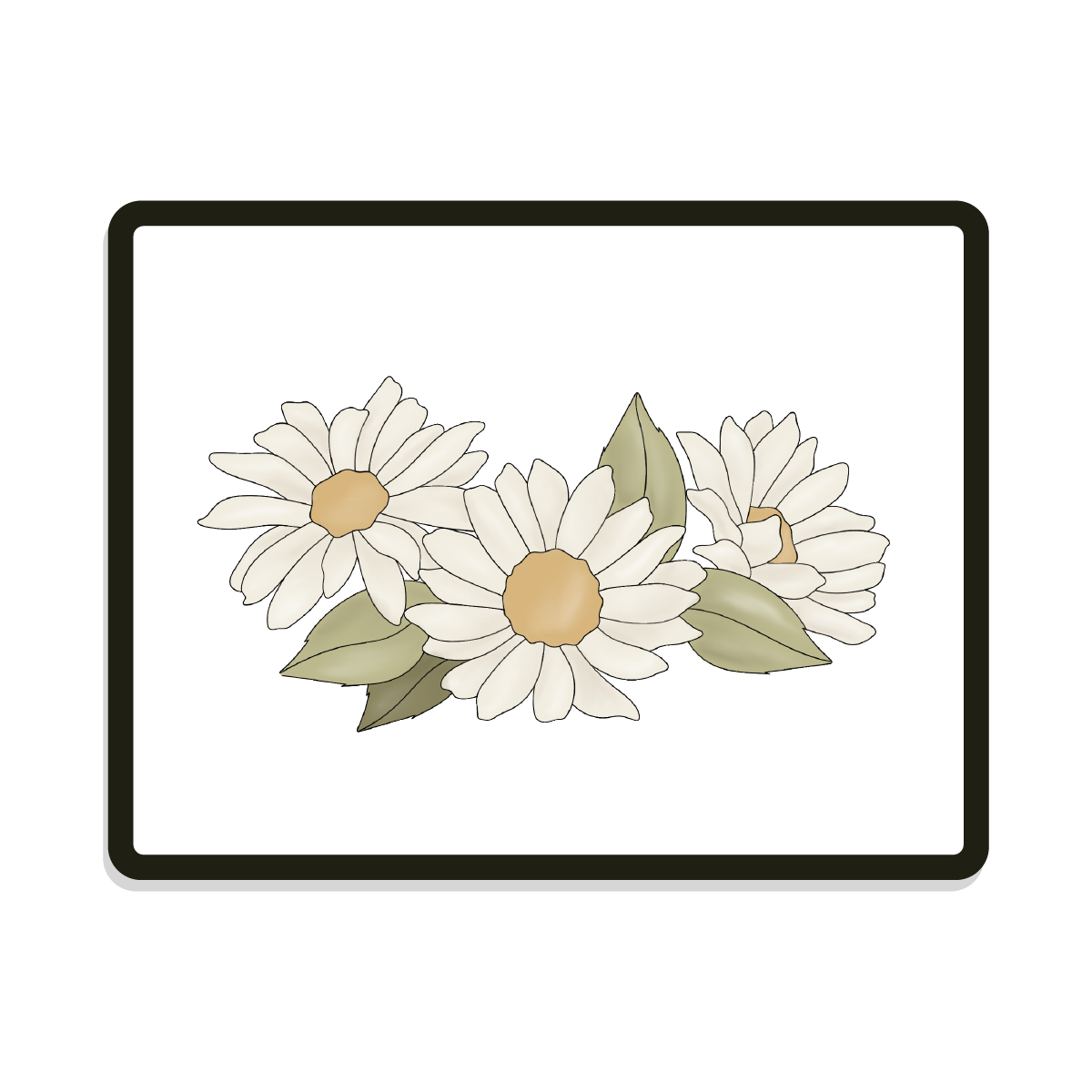Dixie Round | Daisy