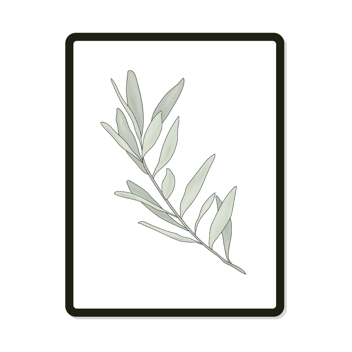 Elle Round | Sprig