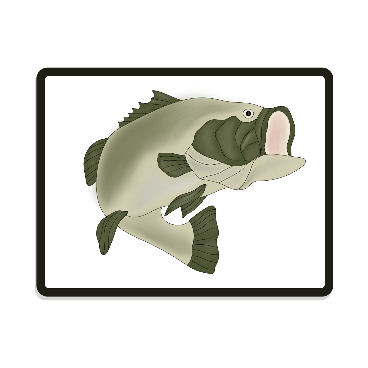 Finn Round | Bass Fish