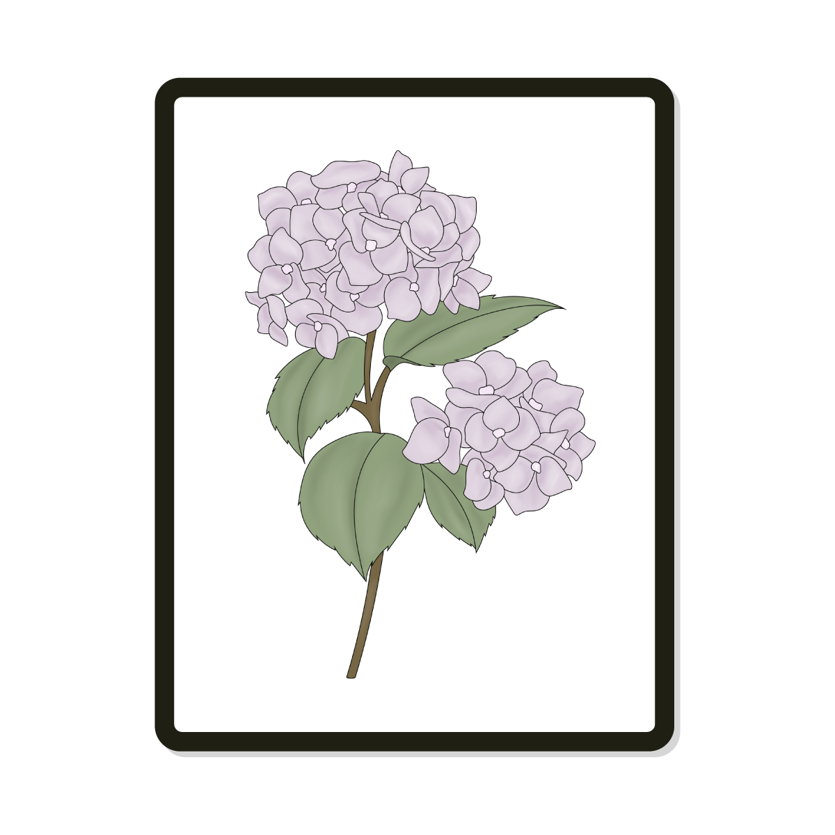 Jolie | Hydrangea Digital SVG Template