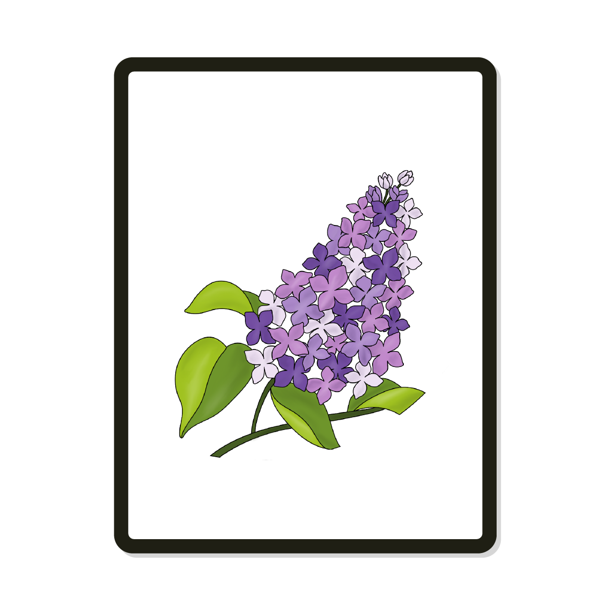 Lilac | Digital SVG Template