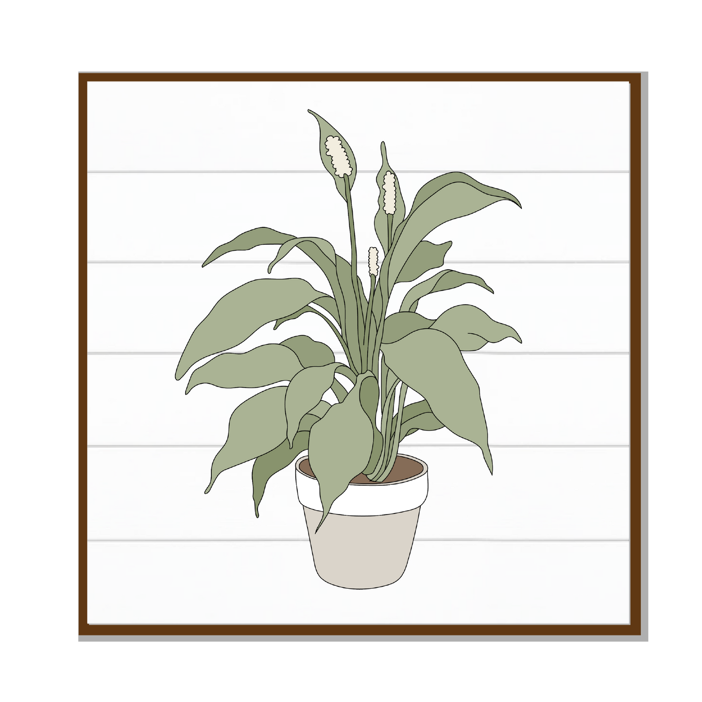 Paulie | House Plant Template