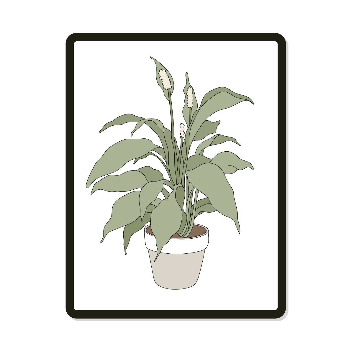 Paulie | House Plant Template