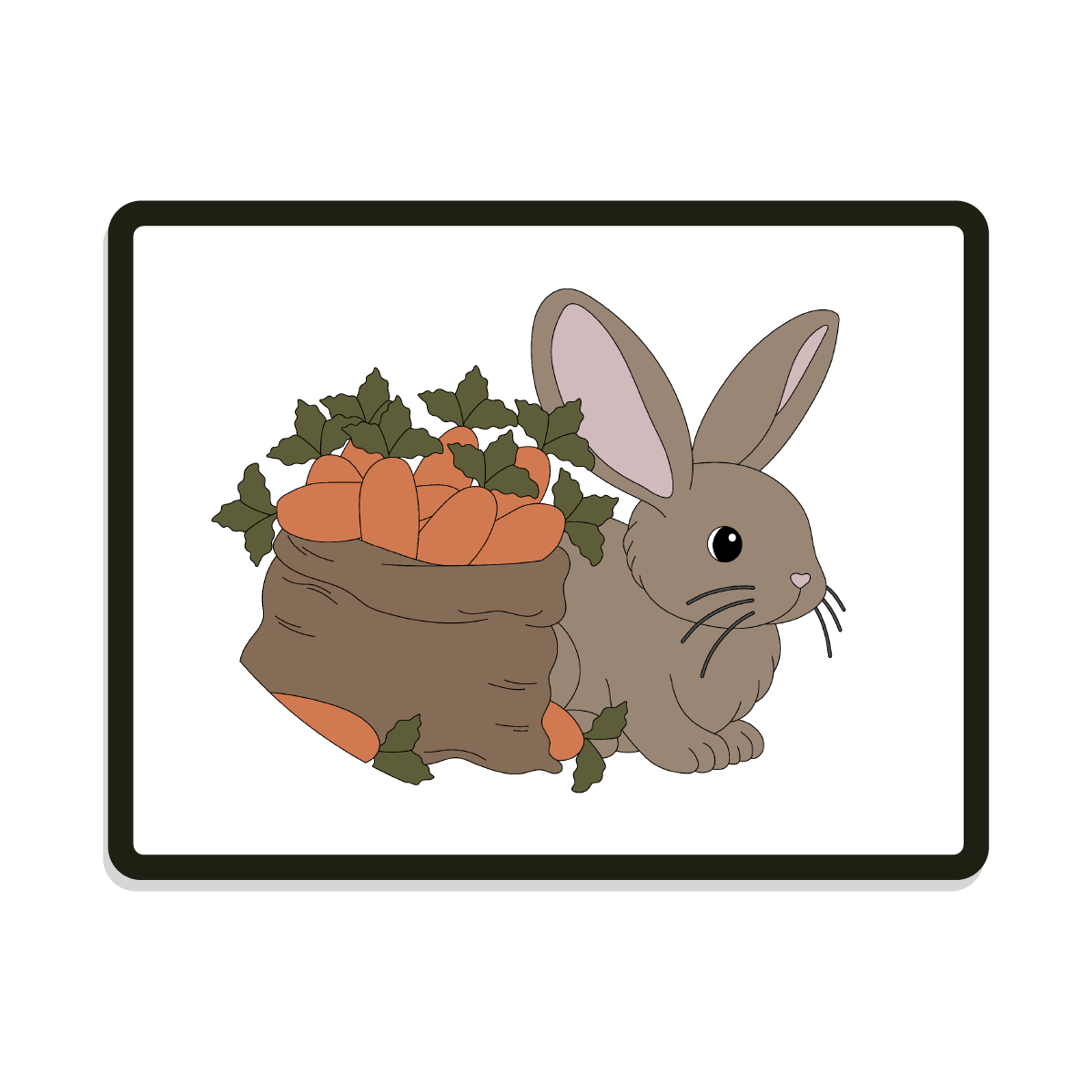 Peter | Round | Bunny