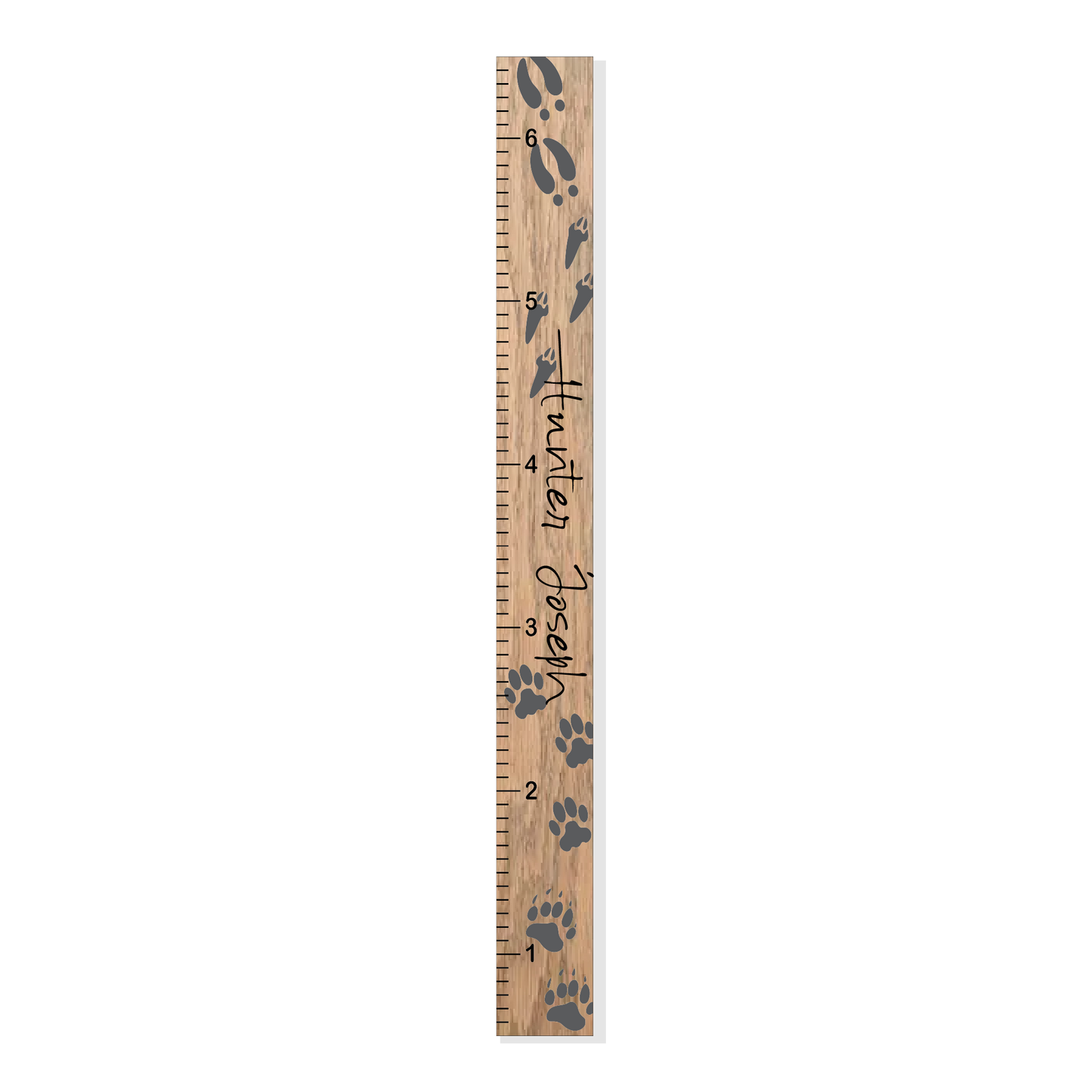 Tracks | Growth Chart | Woodland Animal Tracks