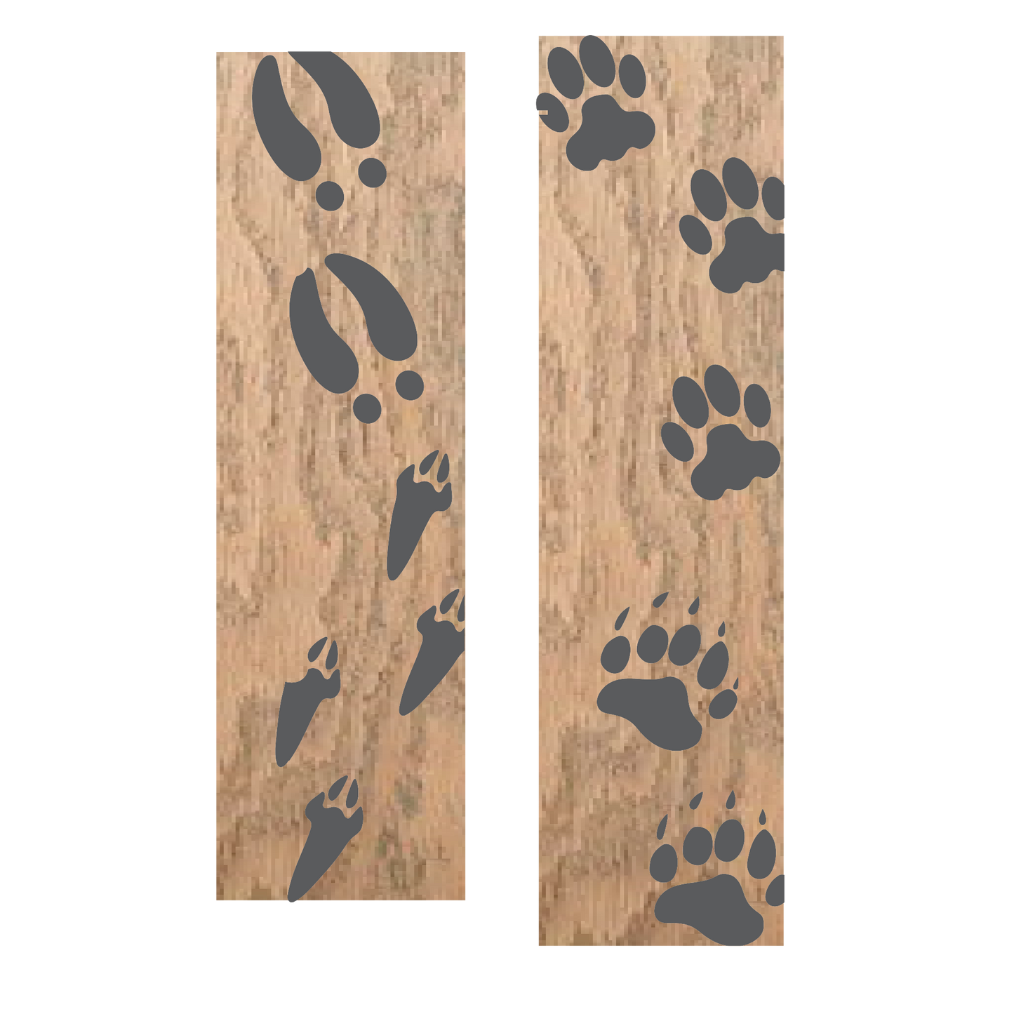 Tracks | Growth Chart | Woodland Animal Tracks