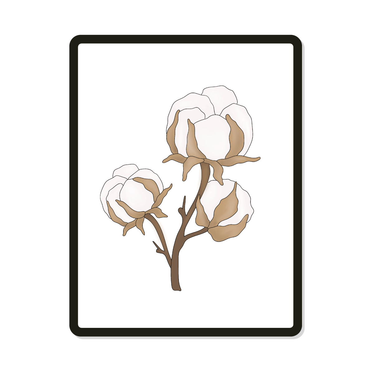 Cotton | Digital SVG Template