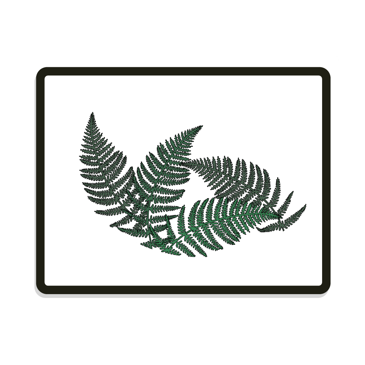 Fern | Round | Greenery