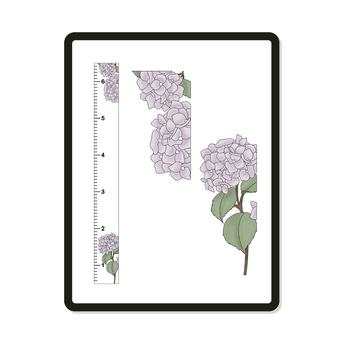 Jolie Growth Chart Hydrangea Digital SVG Template Hey Birdee