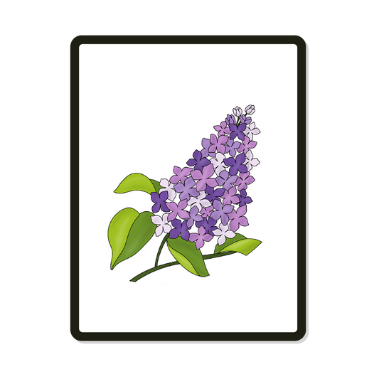 Lilac | Digital SVG Template