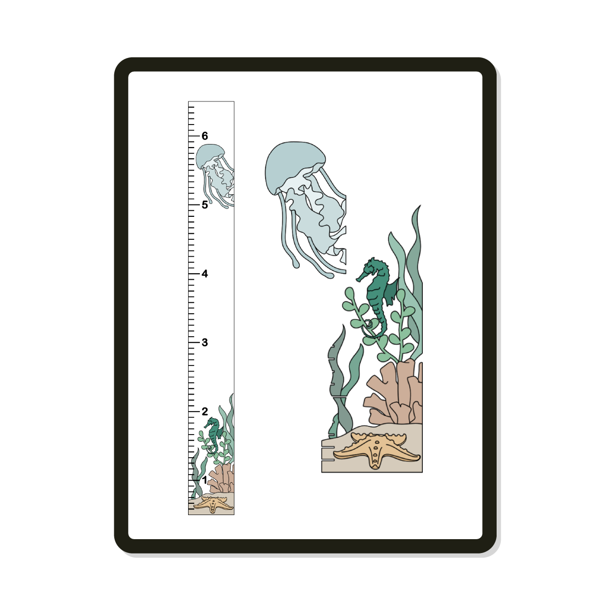 Maldives | Growth Chart | Sea Life