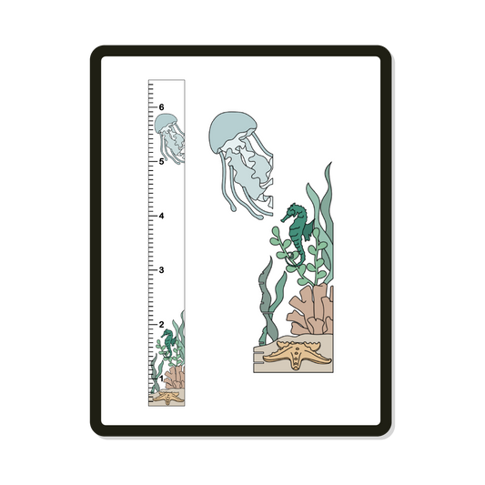 Maldives | Growth Chart | Sea Life