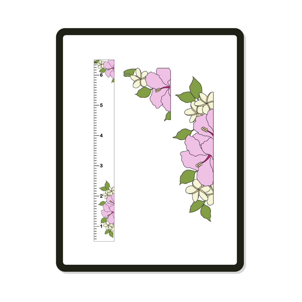 Maui | Growth Chart | Hibiscus + Plumeria