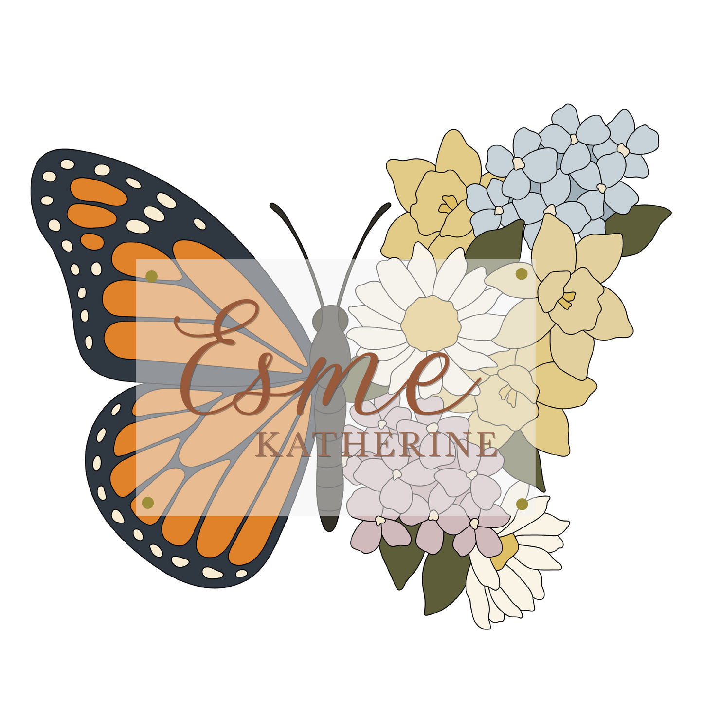 Monarch | Butterfly