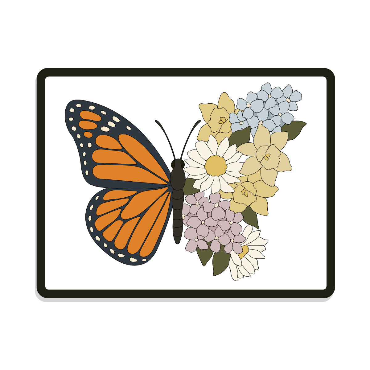 Monarch | Butterfly