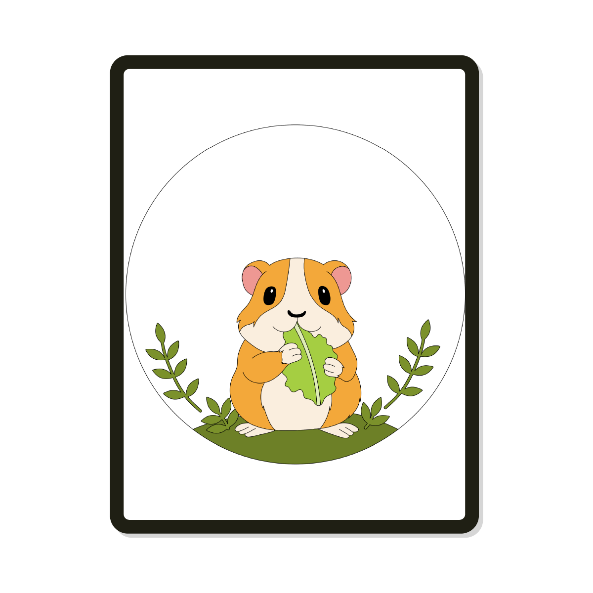 Odie | Round | Guinea Pig