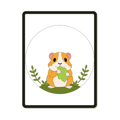 Odie | Round | Guinea Pig