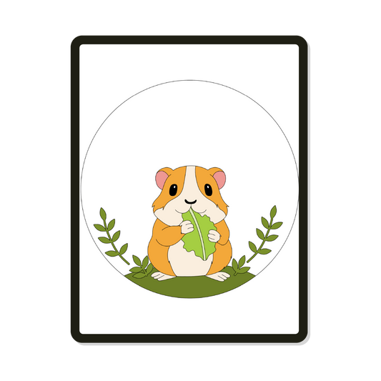 Odie | Round | Guinea Pig
