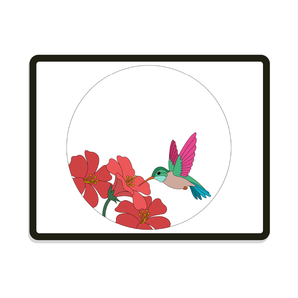 Rumi | Round | Humming Bird