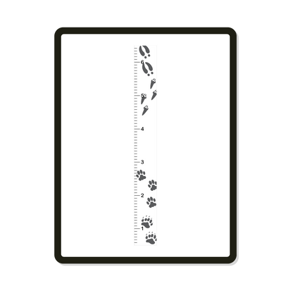 Tracks | Growth Chart | Woodland Animal Tracks