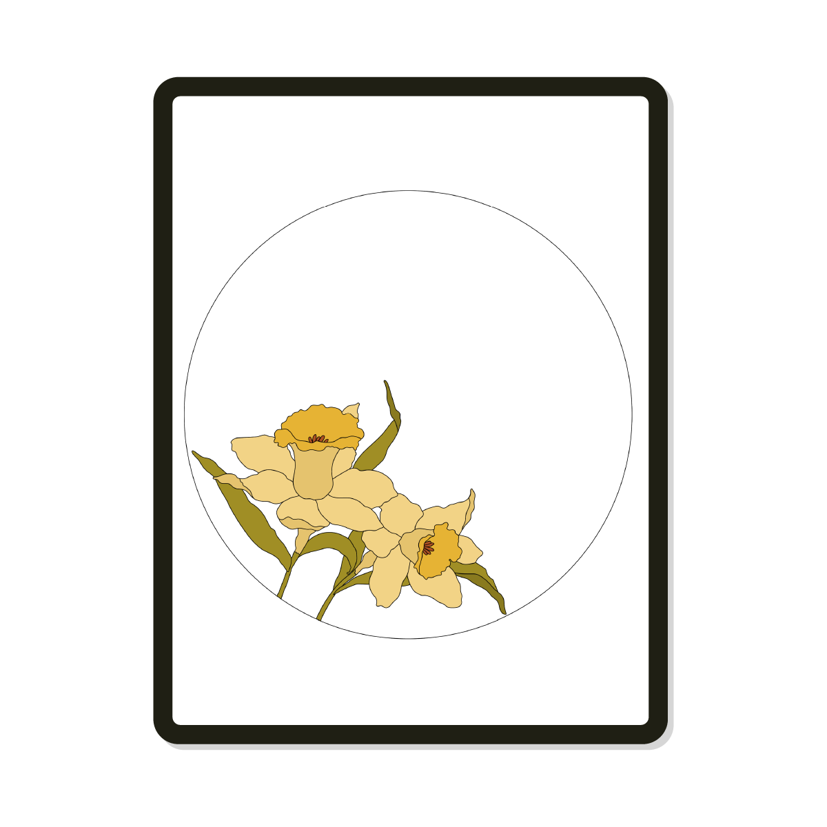 Vienna | Round | Daffodils